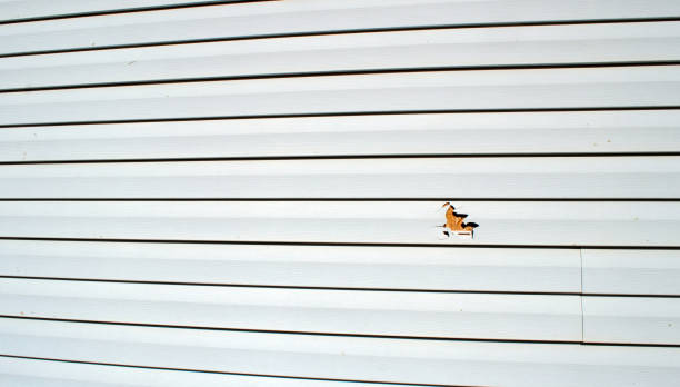 Trusted Harbor Beach, MI Siding Installation & Repair Experts