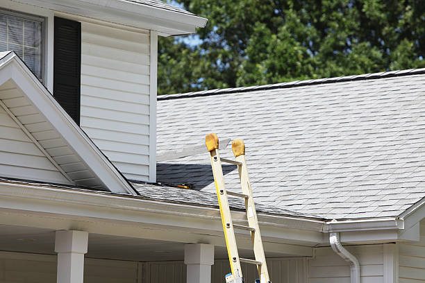 Best Steel Siding Installation  in Harbor Beach, MI
